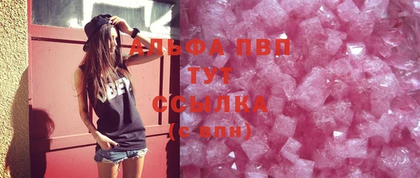стаф Арсеньев