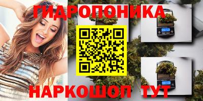 круглые Лесосибирск