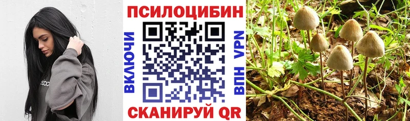 Галлюциногенные грибы MAGIC MUSHROOMS  как найти   Светлоград 